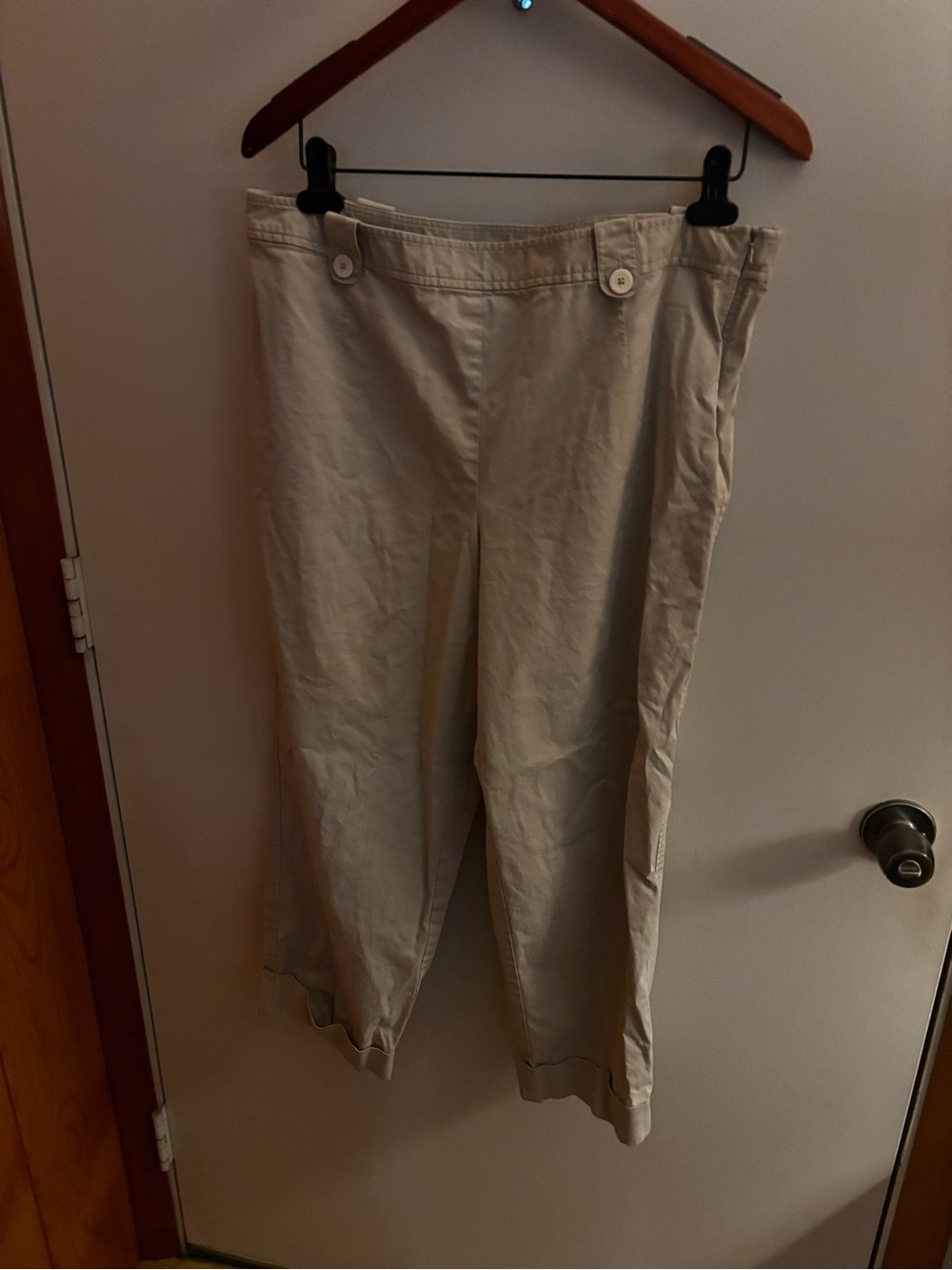 Talbots Beige Casual Pants